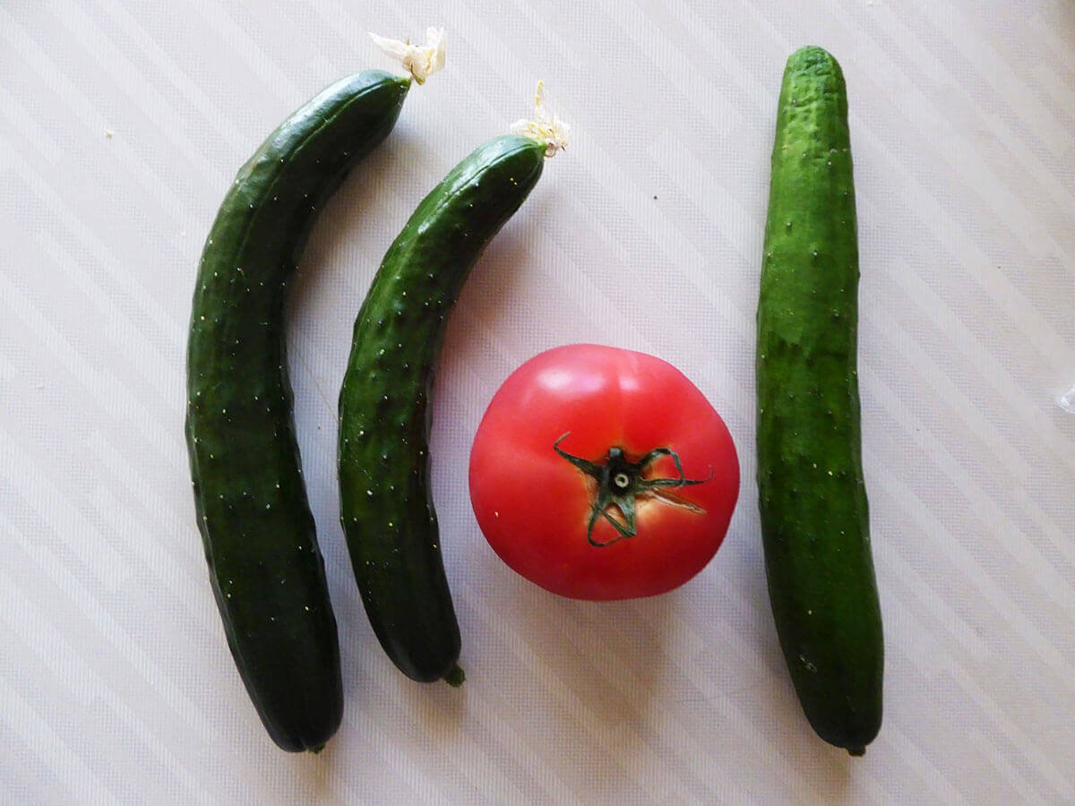 ⛩️ 기타카미 스와 신사 (기타카미 스와진자) 이미지 11